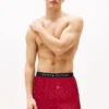Allover Flag Print Woven Boxer
