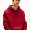Back Flag Logo Pullover Hoodie