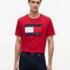Big Flag Logo T-Shirt Big Flag Logo T-Shirt