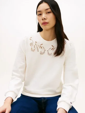 Embroidered Eyelet Sweatshirt