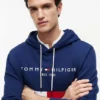 Embroidered Tommy Logo Colorblock Hoodie Embroidered Tommy Logo Colorblock Hoodie