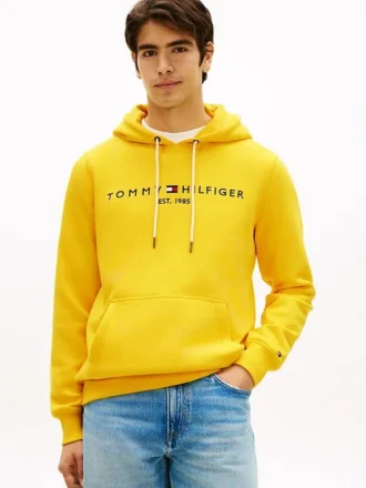 Embroidered Tommy Logo Hoodie