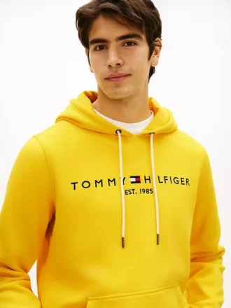 Embroidered Tommy Logo Hoodie