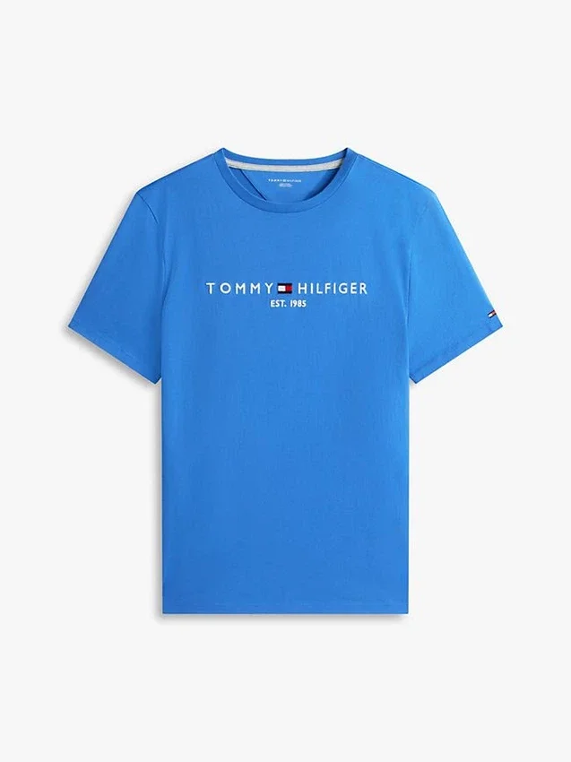 Embroidered Tommy Logo T-Shirt Embroidered Tommy Logo T-Shirt