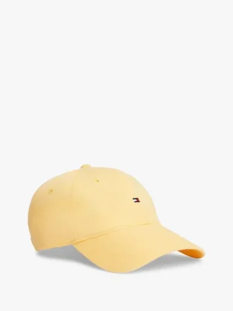 Flag Logo Baseball Cap