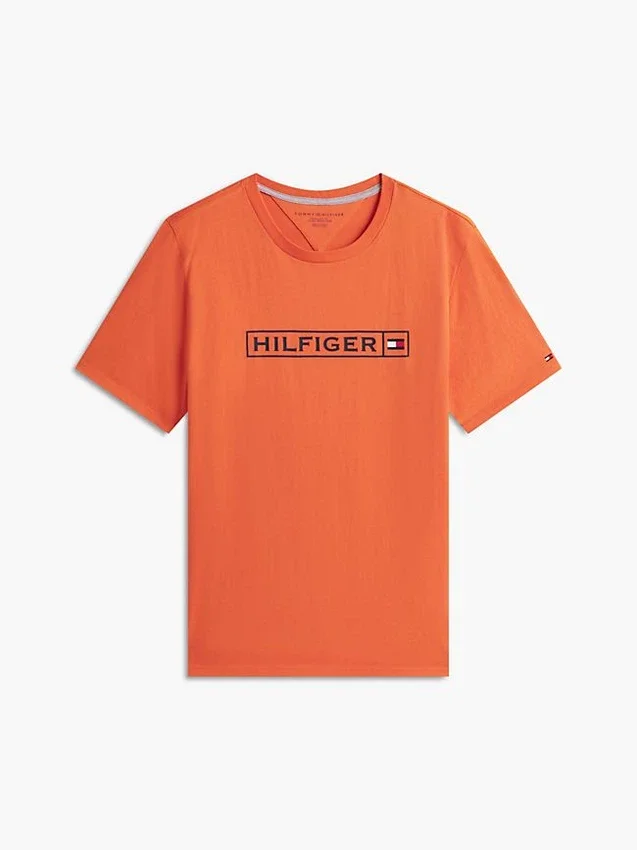 Hilfiger Box Logo T-Shirt Hilfiger Box Logo T-Shirt