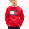 Kids’ Tommy Flag Logo Raglan Sweatshirt Kids’ Tommy Flag Logo Raglan Sweatshirt