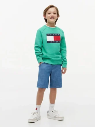 Kids’ Tommy Flag Logo Raglan Sweatshirt
