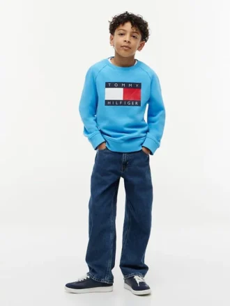 Kids’ Tommy Flag Logo Raglan Sweatshirt