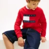 Kids’ Tommy Flag Logo Raglan Sweatshirt Kids’ Tommy Flag Logo Raglan Sweatshirt