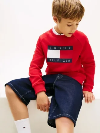 Kids’ Tommy Flag Logo Raglan Sweatshirt