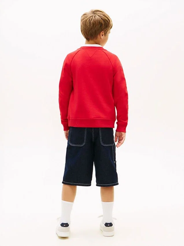 Kids’ Tommy Flag Logo Raglan Sweatshirt Kids’ Tommy Flag Logo Raglan Sweatshirt