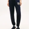 Multicolor Varsity Tommy Logo Sweatpant Multicolor Varsity Tommy Logo Sweatpant