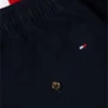 Regular Fit 8″ Flag Colorblock Short