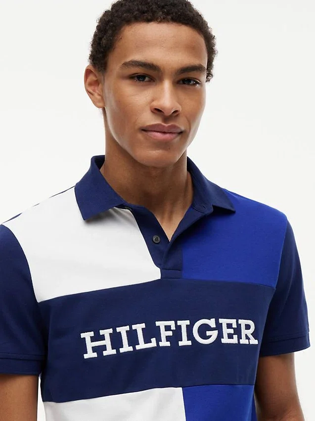 Regular Fit Colorblock Polo Regular Fit Colorblock Polo