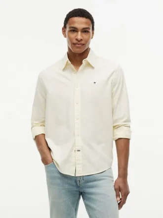 Regular Fit Stripe Stretch Oxford Shirt