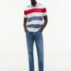 Regular Fit Striped Polo Regular Fit Striped Polo