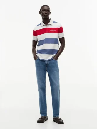 Regular Fit Striped Polo
