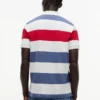 Regular Fit Striped Polo Regular Fit Striped Polo
