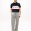 Regular Fit Tommy Logo Block Stripe Polo Regular Fit Tommy Logo Block Stripe Polo