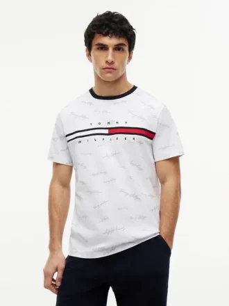 Signature Flag Stripe Logo T-Shirt