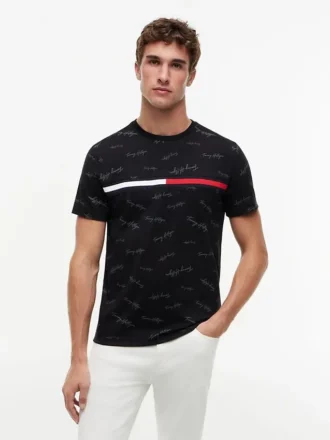 Signature Flag Stripe Logo T-Shirt
