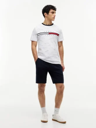 Signature Flag Stripe Logo T-Shirt