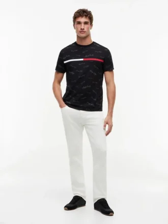 Signature Flag Stripe Logo T-Shirt